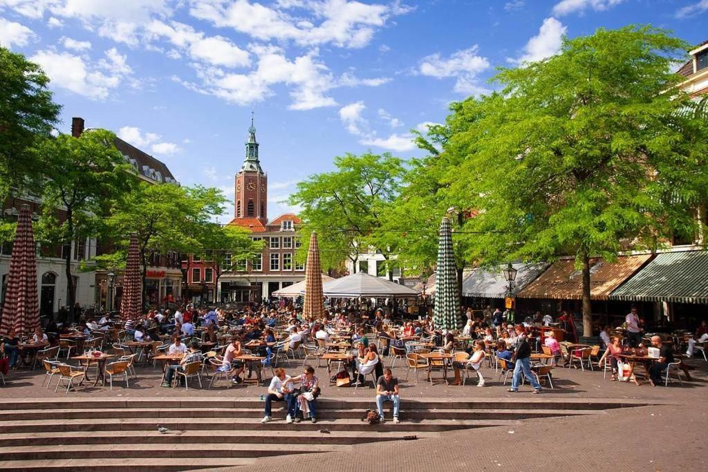 Hostel Pink Flamingo Boutique The Hague