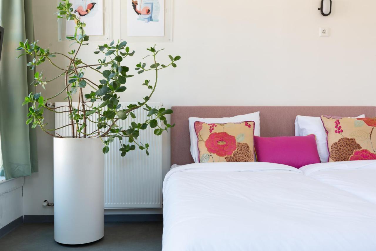 Pink Flamingo Boutique Hostel *